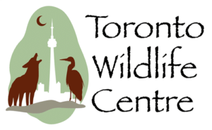 Toronto Wildlife Centre donations